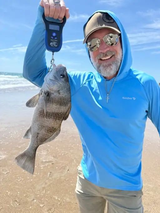 Black Drum