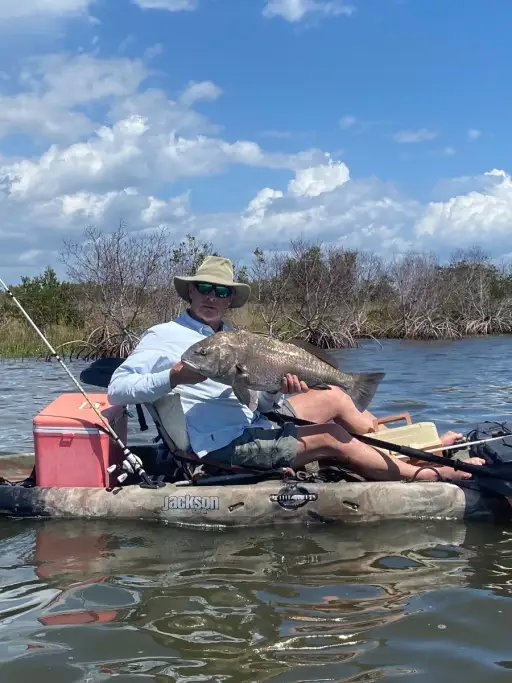 Black drum