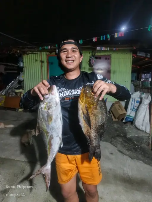 bakalaw/gayagay