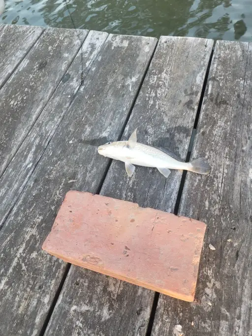 fishing photo
