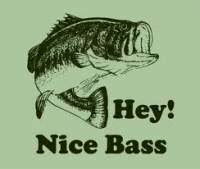 Bassinbick's avatar