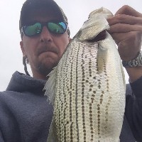 Shane 24's avatar