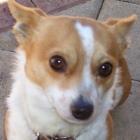 JonB's avatar
